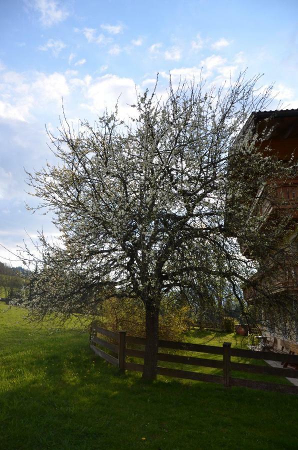 Aubauer Villa Bischofshofen Luaran gambar