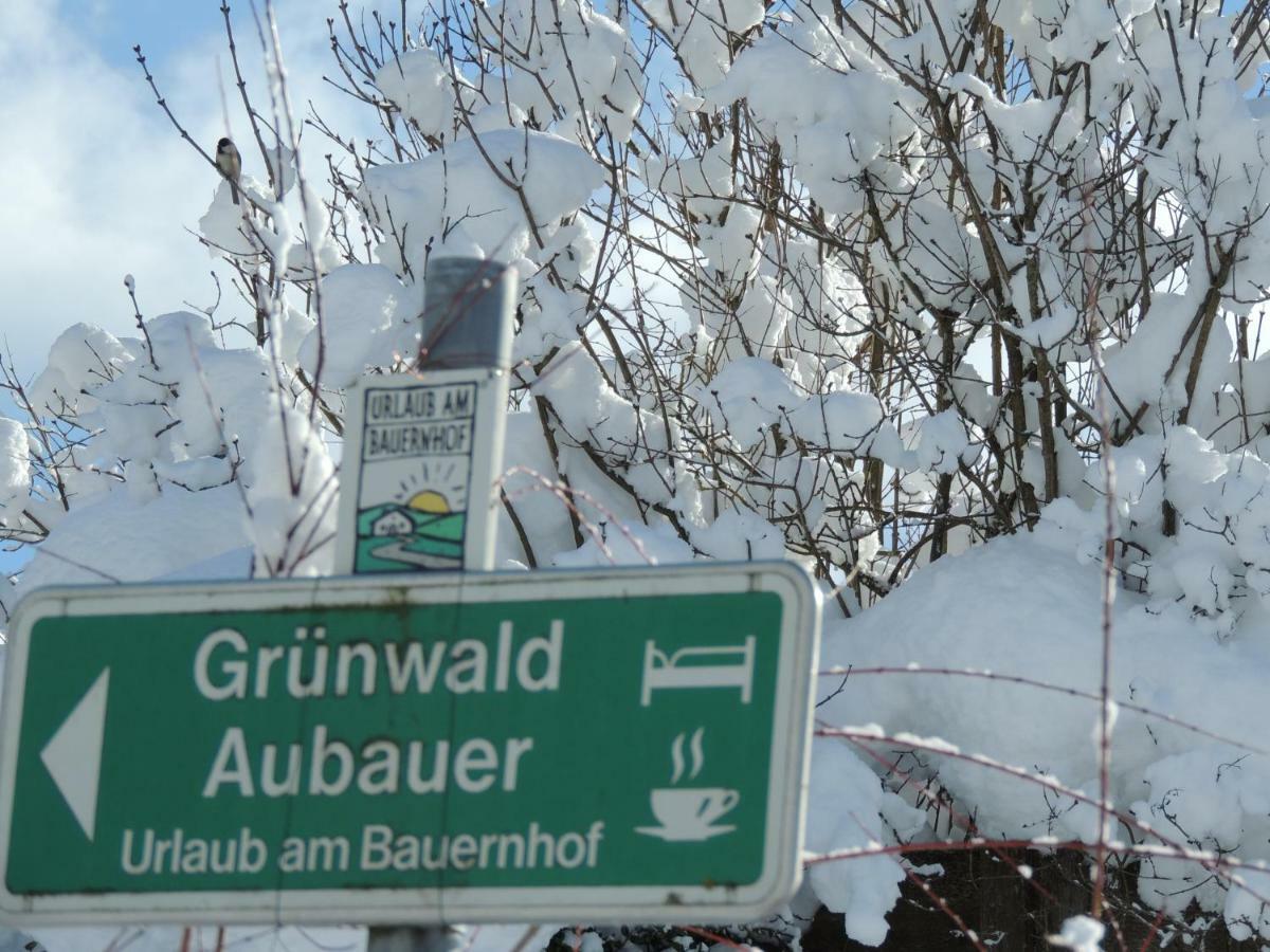 Aubauer Villa Bischofshofen Luaran gambar