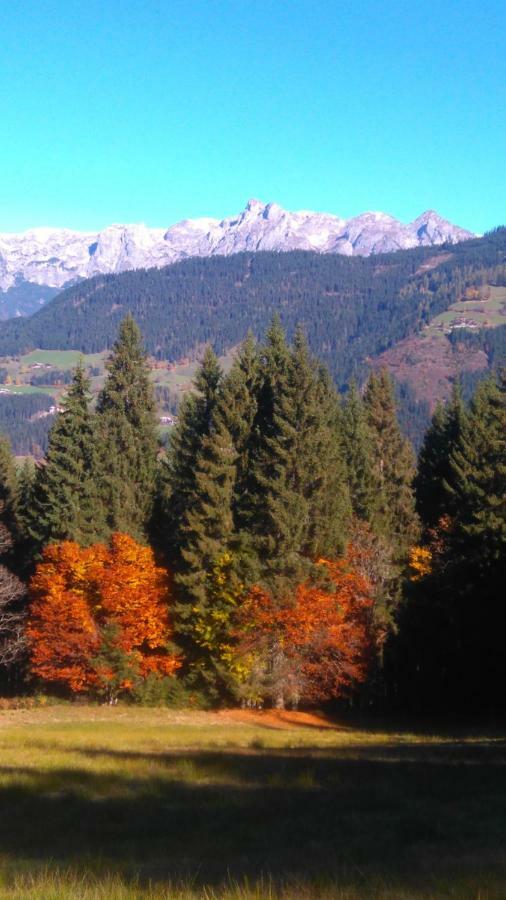 Aubauer Villa Bischofshofen Luaran gambar